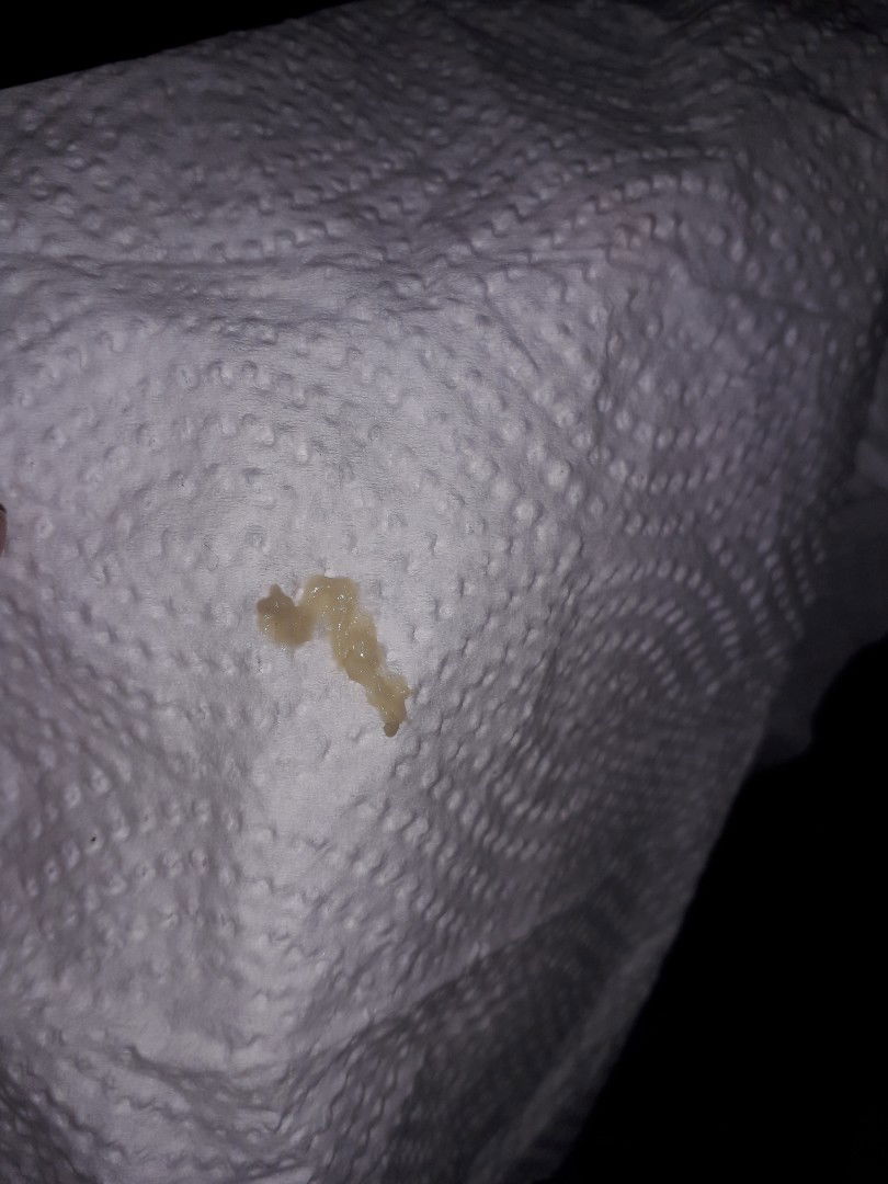 keputihan tapi hijau