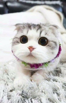 Nani Aprilia profile icon