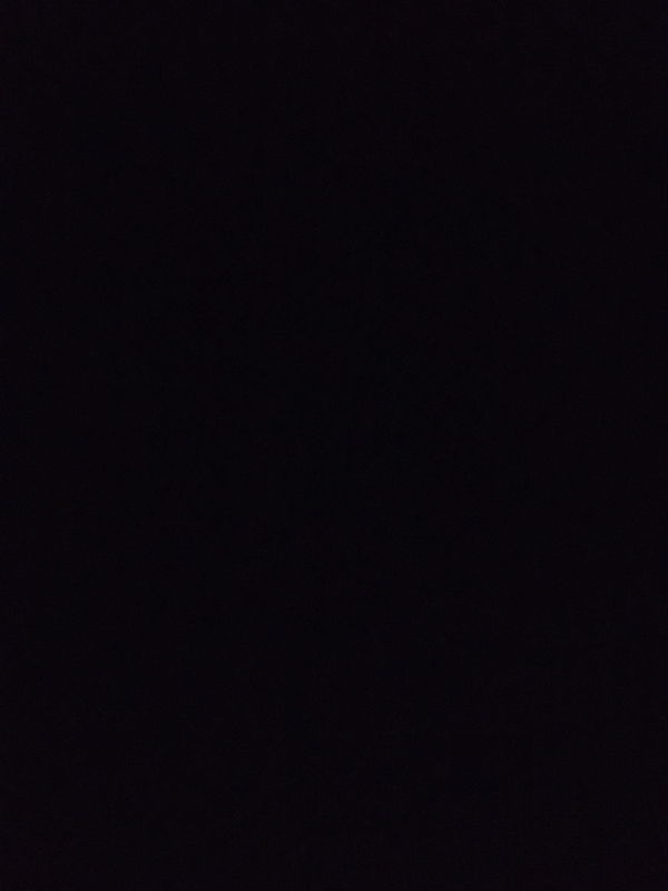 falafah profile icon