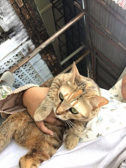 ฟิรดาว สามะแอ profile icon