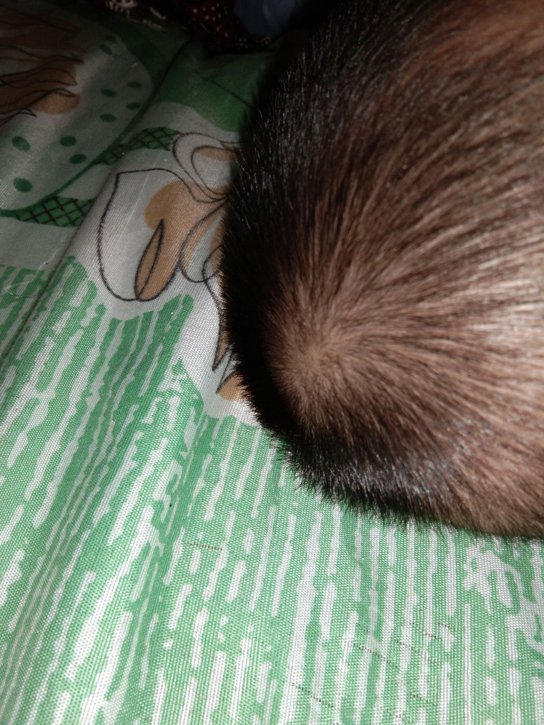 dok mau tanya ,,anak saya di kepala dekat ubun" ada sperty benjolan brisi air di pencet bisa mleset" gitu ,,. knpa ya dok??