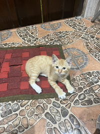 Kusuma Dwi Antari profile icon