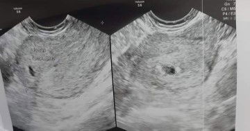 แอมป์ ศิศประภา. profile icon