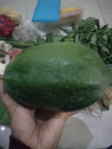 sayur pepaya buat ibu hamil,bolehkah ?