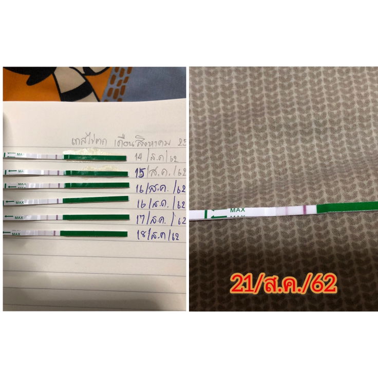 งงกับการเทสไข่ตก