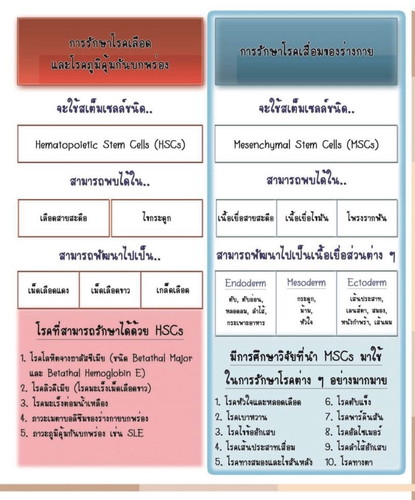 แม่ๆคิดยังไงกับเรื่องเก็บ สเต็มเซลล์ คะ