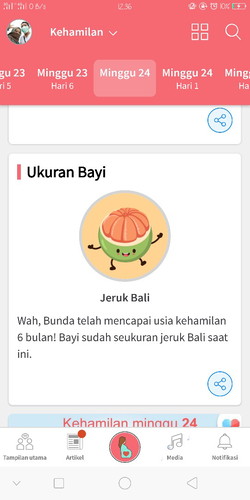yg bner 6 bulan itu itungan brapa minggu sih?