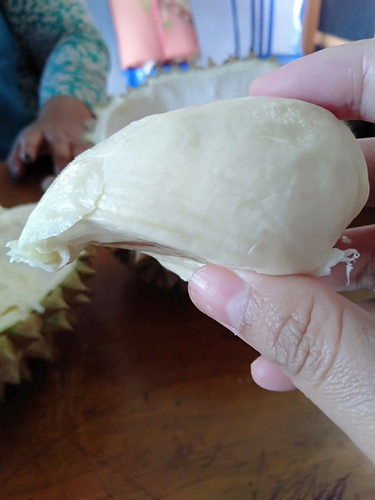 mkn duren