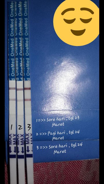 apakah benar2 hamil ?
