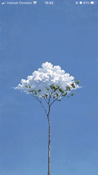 Nada Nadoll profile icon