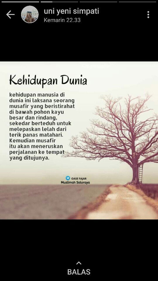 mama ardan profile icon