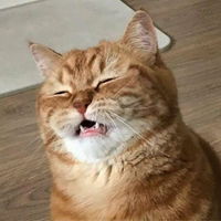 Quýt iu profile icon