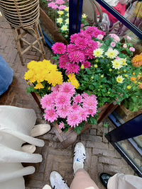 tridiah920 profile icon