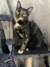 ภณิดา พรหมศรี profile icon