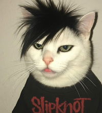 จอยเอง profile icon