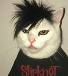 จอยเอง profile icon