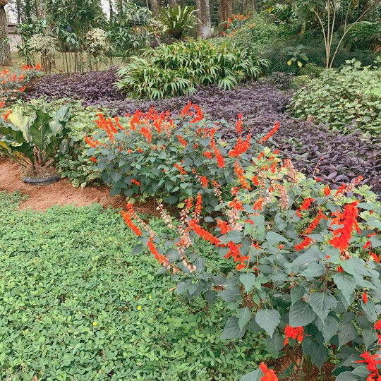 Nda Diana profile icon