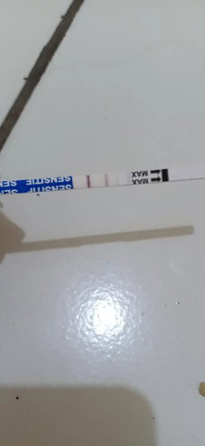 mau tanya