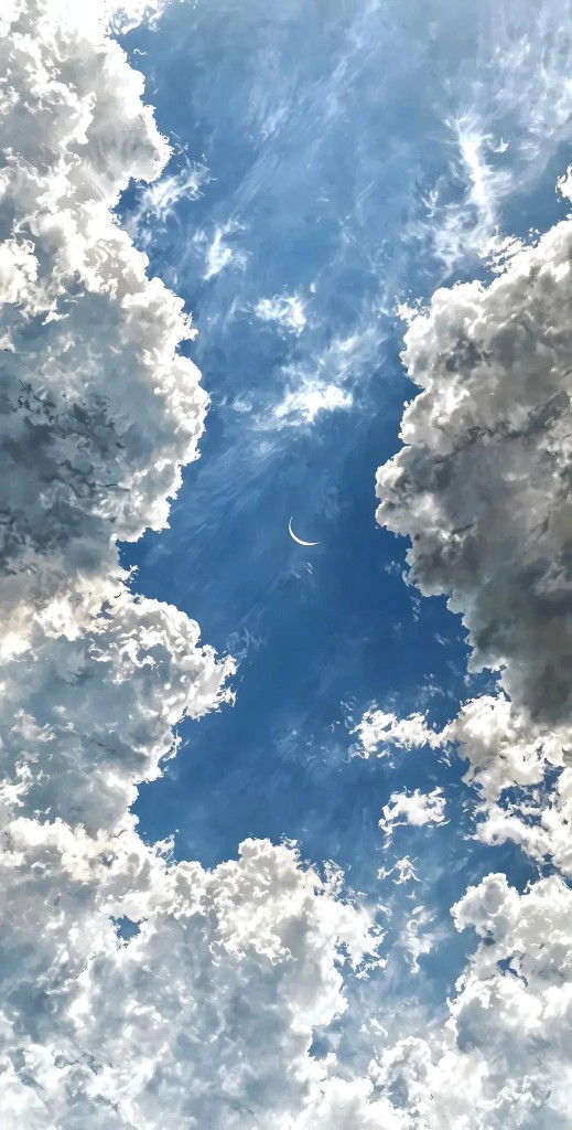 cintakuu profile icon