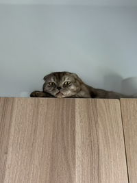 yamm .yamm_ profile icon