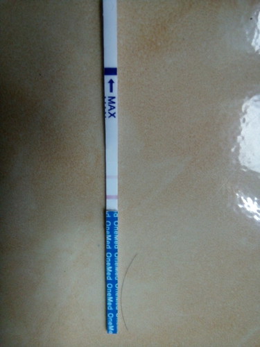 hamil tp ragu