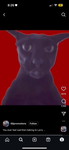 princess profile icon