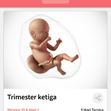 ada yg udah lounching