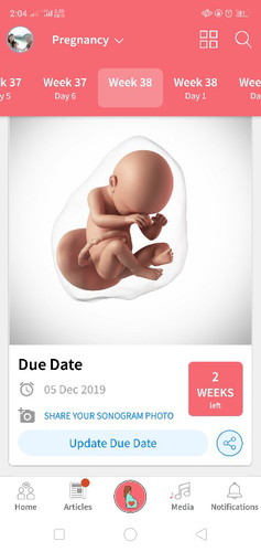 38weeks