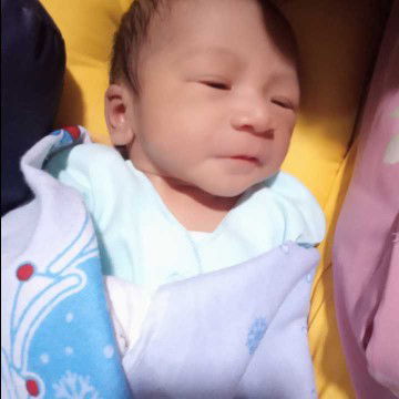 Telah Launching baby Boy