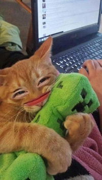 มาดีนะห์ ฯ. profile icon