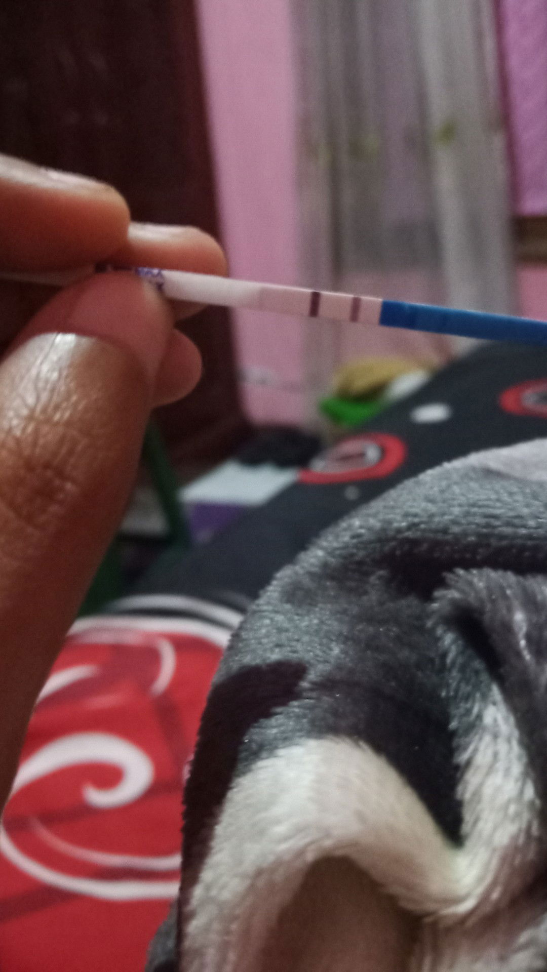 Saat Hamil Buah Hati