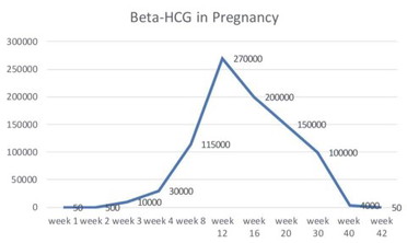 Sebab Loya dan Muntah Semasa Hamil
