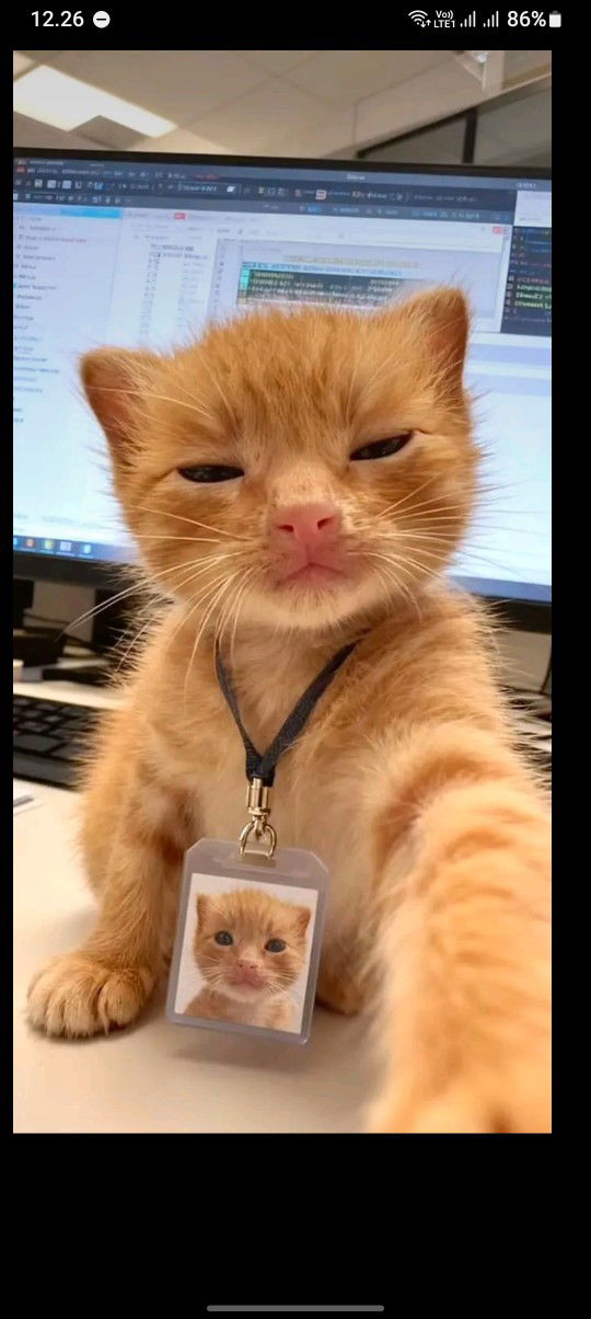 rosyana profile icon