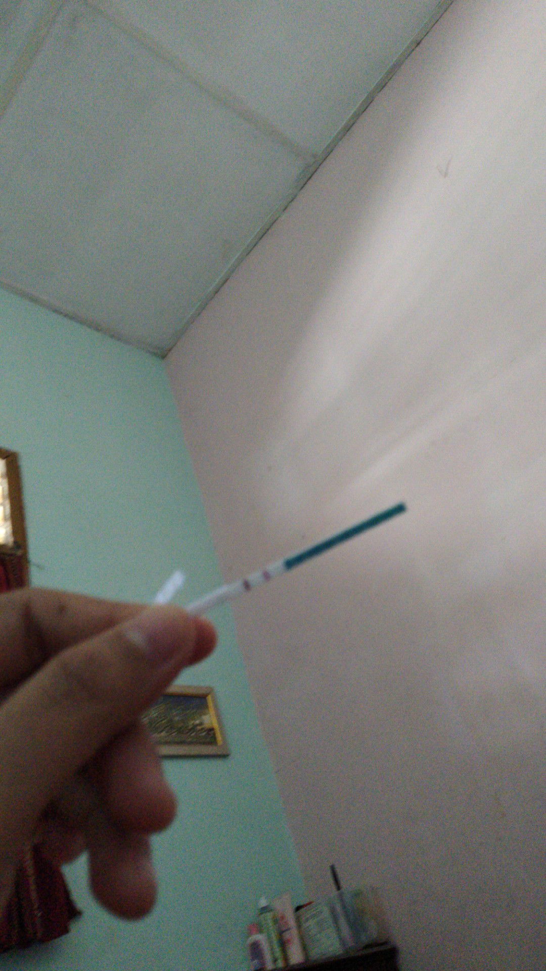 Antara percaya dan tidak