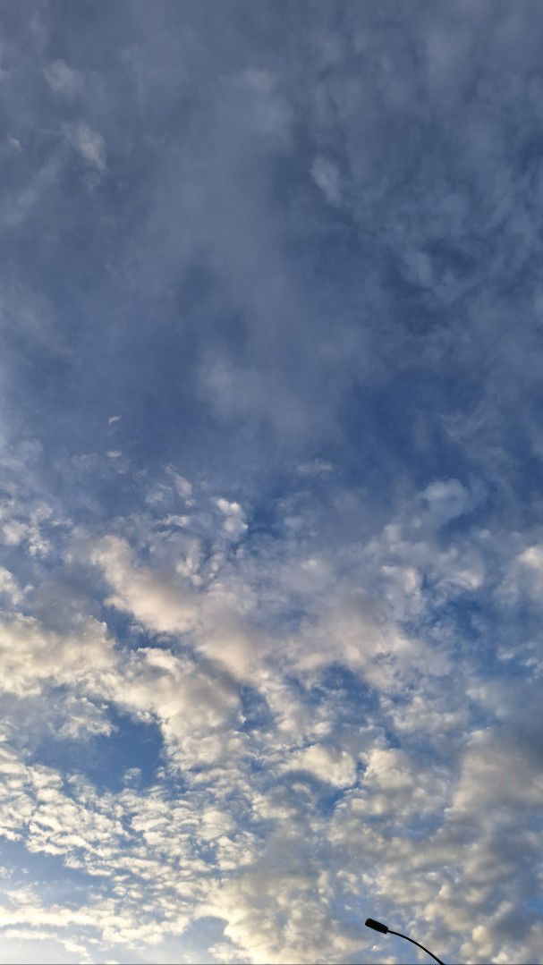 No name profile icon