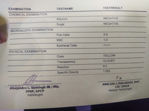 urine result
