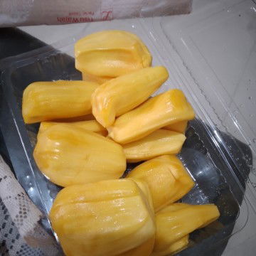 makan nangka