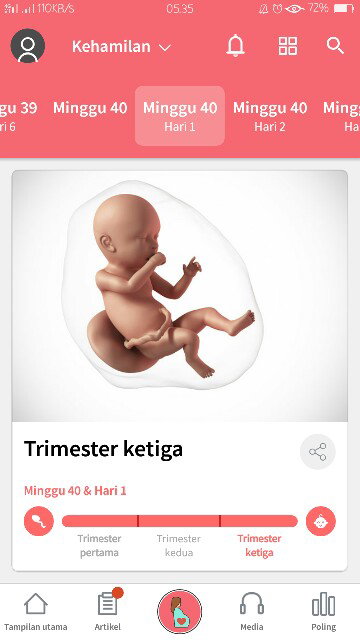pembukaan 6, 40 minggu 1 hari