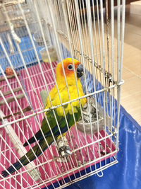 หม่ามี้อาเธอร์ profile icon