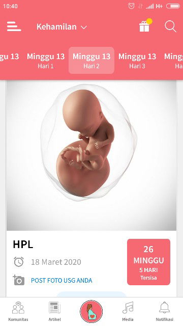 kehamilan
