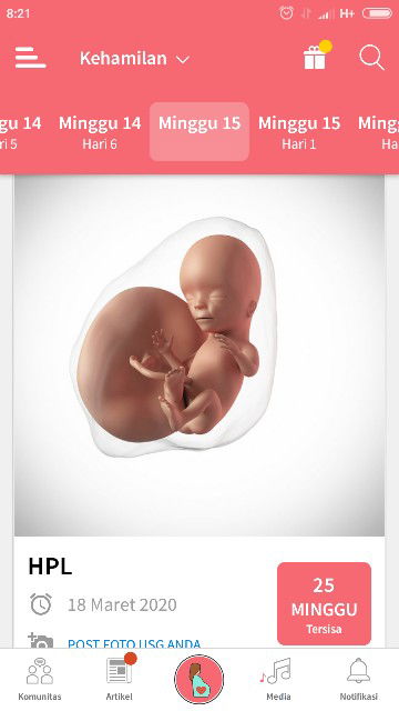 kehamilan