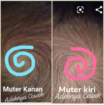 mitos/fakta