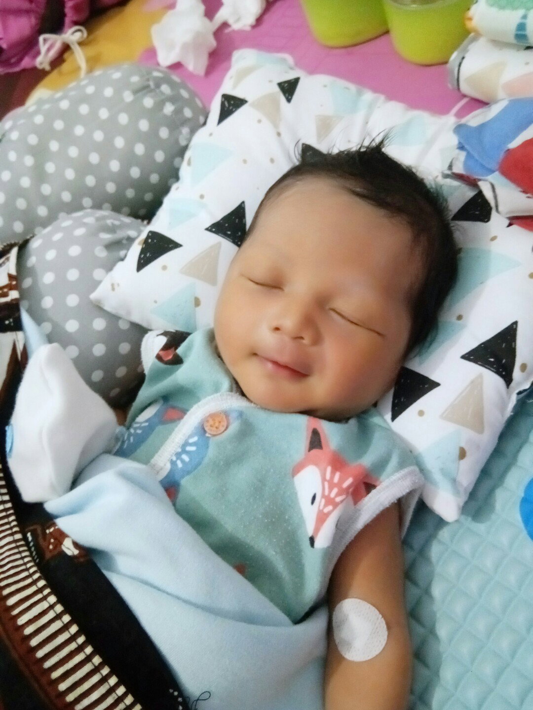 kentut