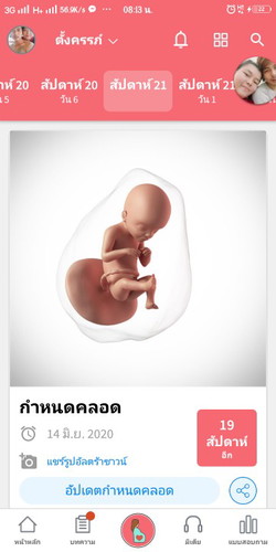 21 week