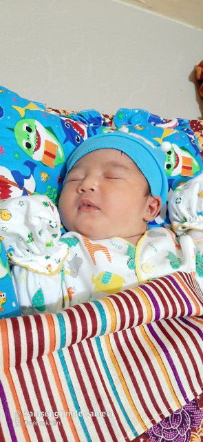 launching baby maju dri hpl