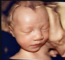 kamonwan profile icon