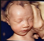 kamonwan profile icon