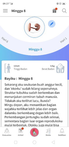 8 week