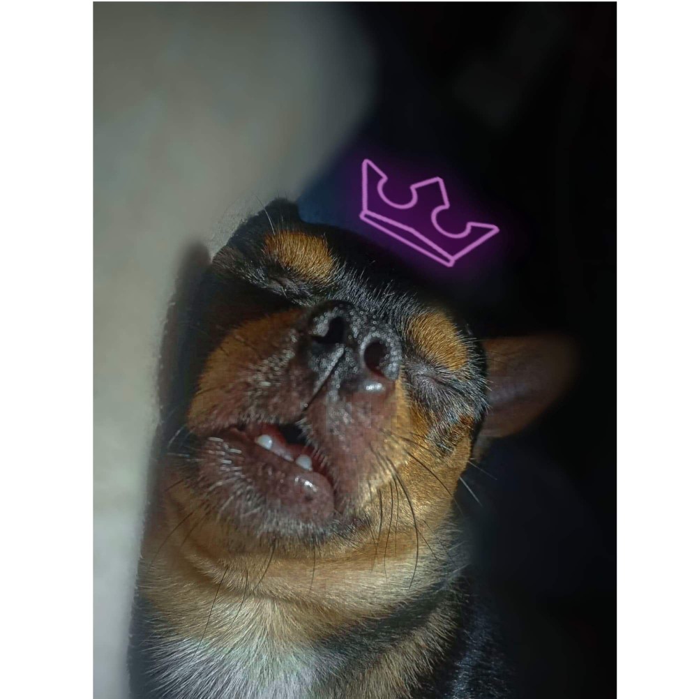 Post reply image