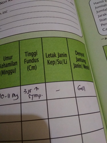 hamil 10 minggu